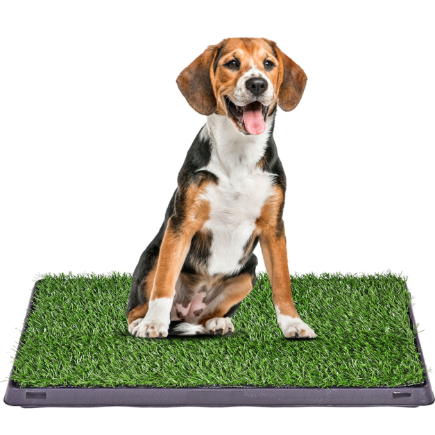 Fudajo Inodoro para perros de césped artificial 63x51cm portátil cachorros  perros mascotas bandeja